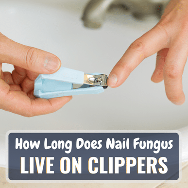 How Long Does Nail Fungus Live On Clippers